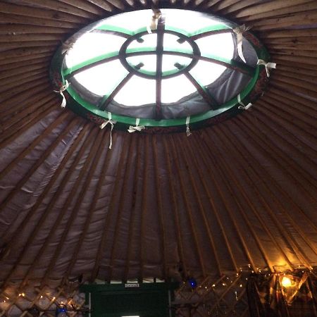 The Tall Pines Yurt Helmsdale Exterior photo