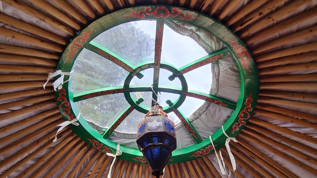 The Tall Pines Yurt Helmsdale Exterior photo